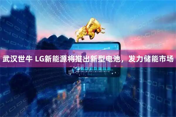 武汉世牛 LG新能源将推出新型电池，发力储能市场