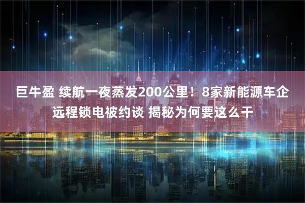 巨牛盈 续航一夜蒸发200公里!8家新能源车企远程锁电被约谈 揭秘为何要这么干