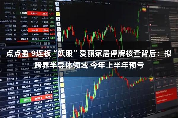 点点盈 9连板“妖股”爱丽家居停牌核查背后：拟跨界半导体领域 今年上半年预亏