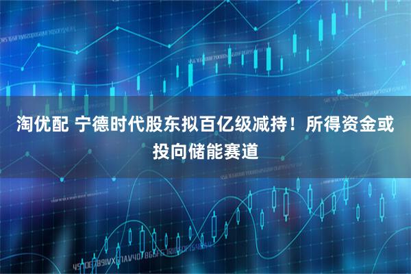 淘优配 宁德时代股东拟百亿级减持！所得资金或投向储能赛道